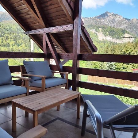 Poiana Dintre Brazi Chalet, Bucegi Panorama سِنايا المظهر الخارجي الصورة