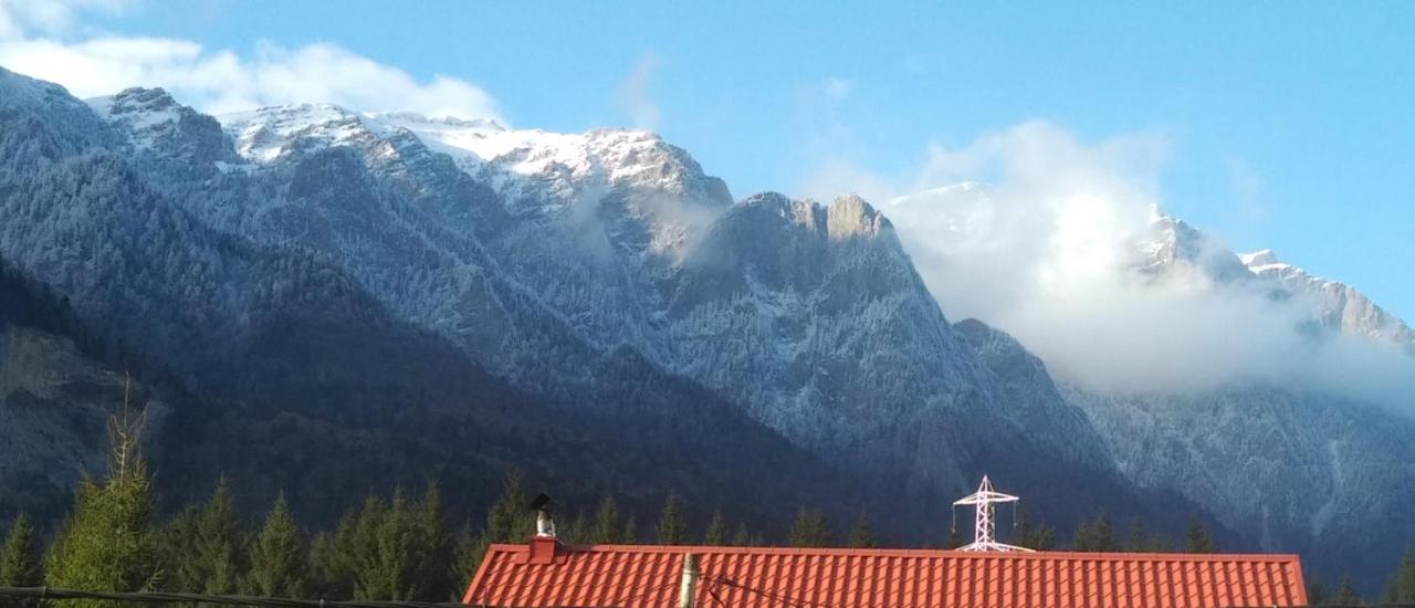 Poiana Dintre Brazi Chalet, Bucegi Panorama سِنايا المظهر الخارجي الصورة