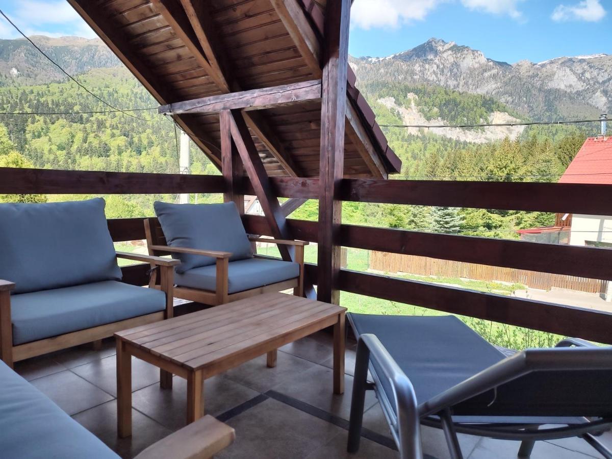 Poiana Dintre Brazi Chalet, Bucegi Panorama سِنايا المظهر الخارجي الصورة